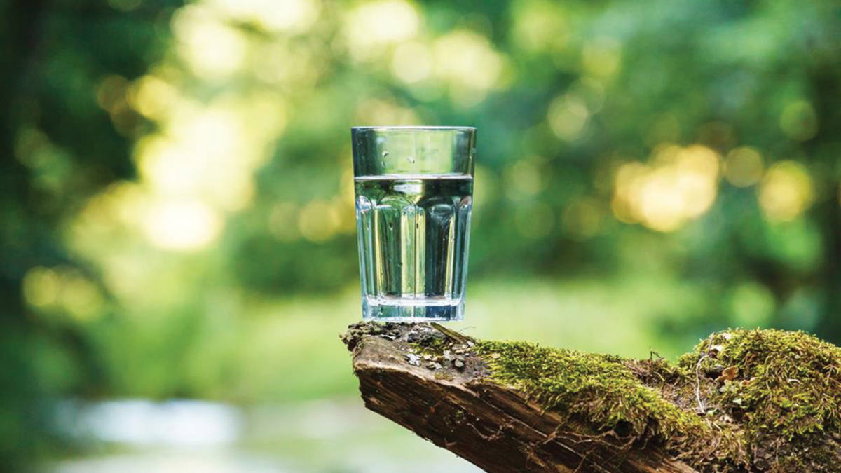 8 Benefits of Drinking Water In The Morning
